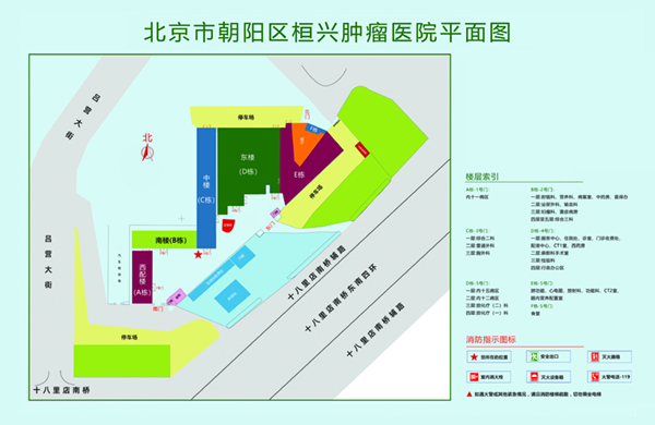 特大黑吊插的好爽北京市朝阳区桓兴肿瘤医院平面图